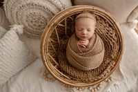 {PECAN} pom set 0095