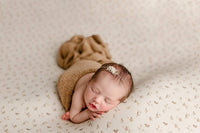 {PECAN} pom set 0095